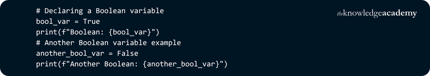 Boolean Variable