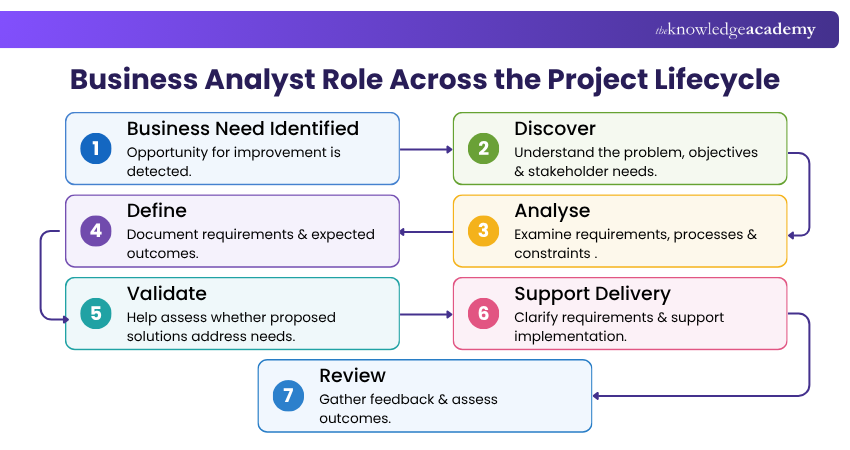 What Does a Business Analyst Do Across the Project Lifecycle? Business Analyst Role Across Project Lifecycle