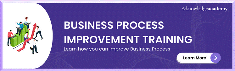 Business Process Improvement Training