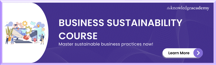 Business Sustainability Course