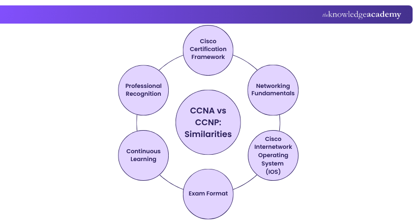 CCNA vs CCNP: Similarities