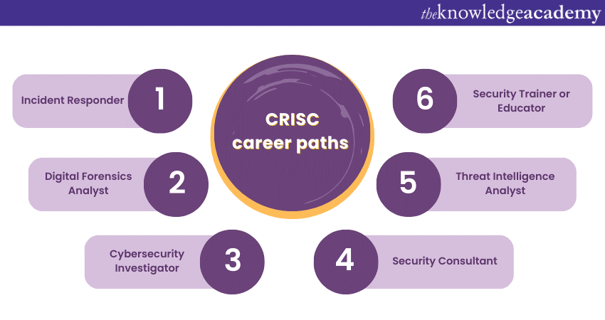 CRISC career paths