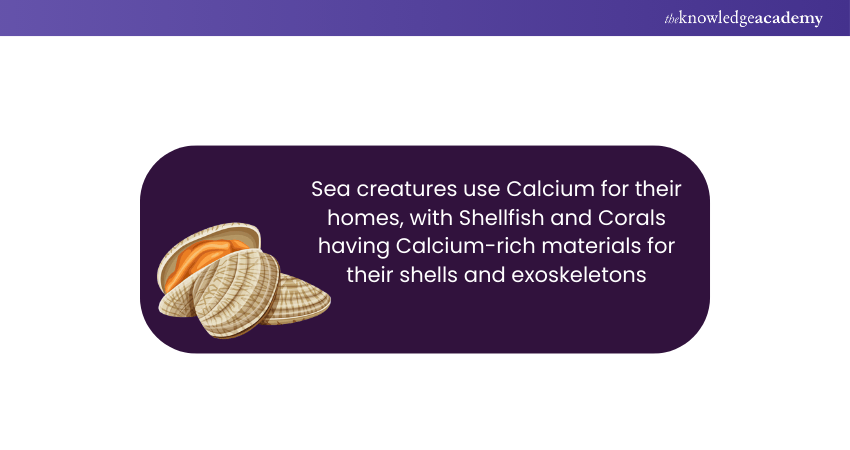 History of Calcium History of Calcium