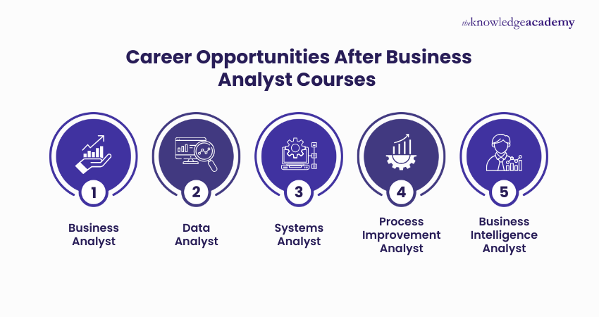 Career Opportunities After Business Analyst Courses