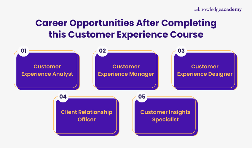 Career Opportunities After Completing this Customer Experience Course Career Opportunities After Completing this Customer Experience Course