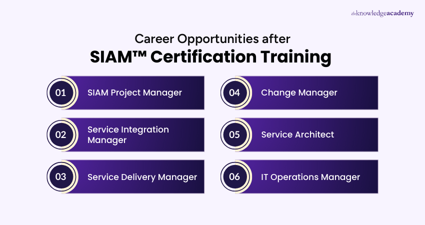 Career Opportunities after SIAM™ Training