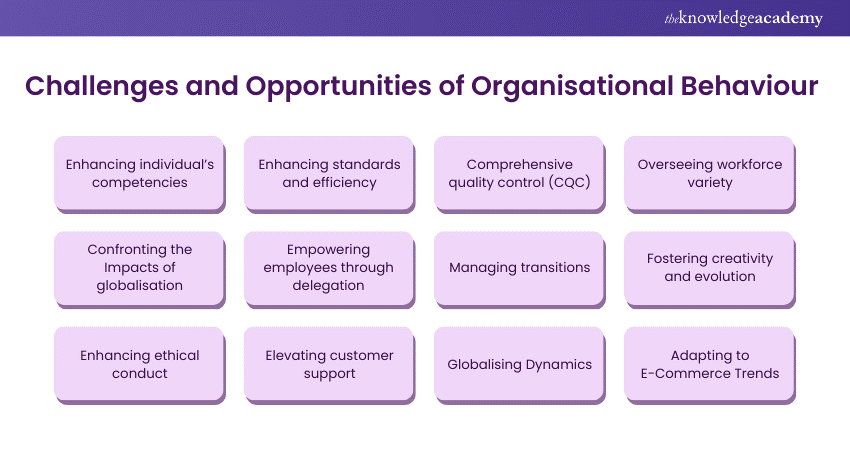 Challenges and Opportunities of Organisational Behaviour 