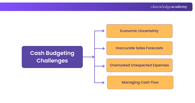 Challenges in Cash Budgeting Challenges in Cash Budgeting