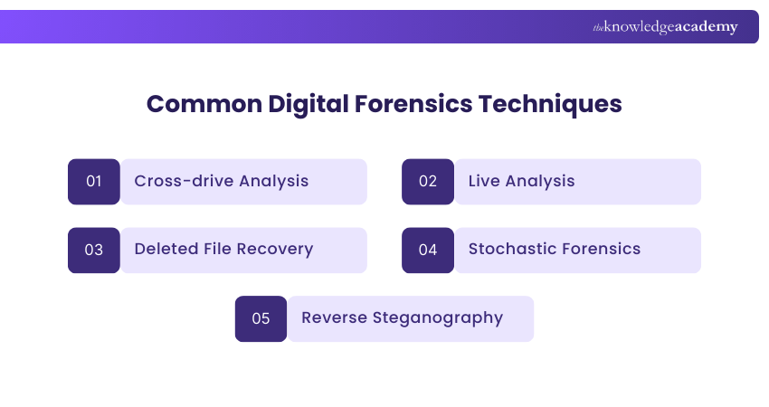 Common Digital Forensics Techniques