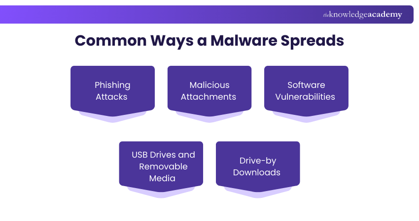 Common Ways a Malware Spreads