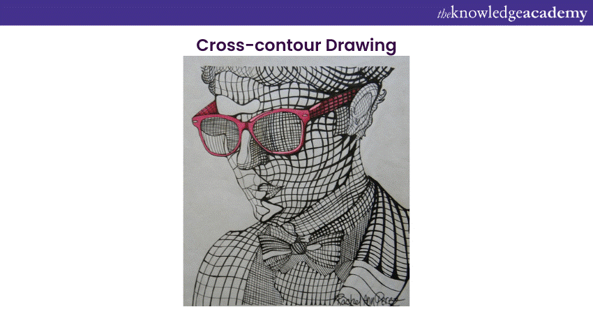 Cross-contour Drawing 