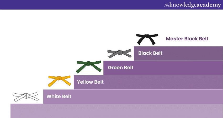 Description of the Six Sigma Belts