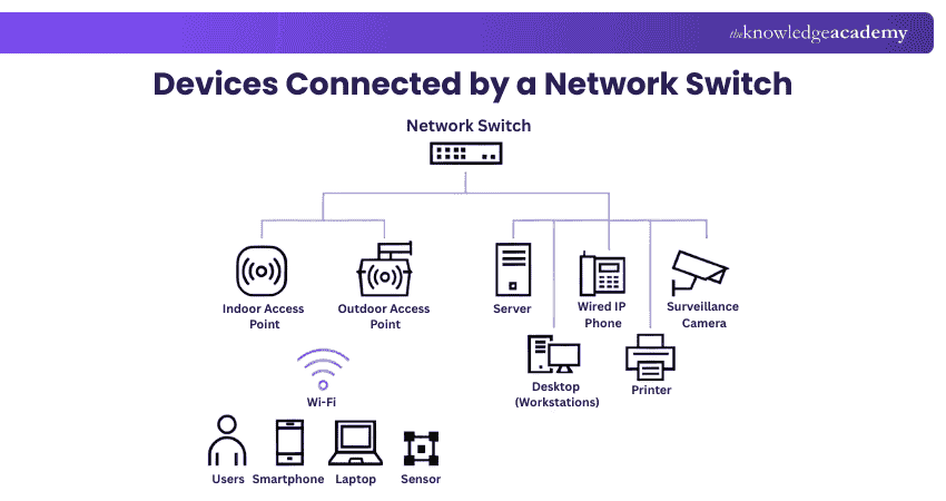 Devices a Network Switch Connects
