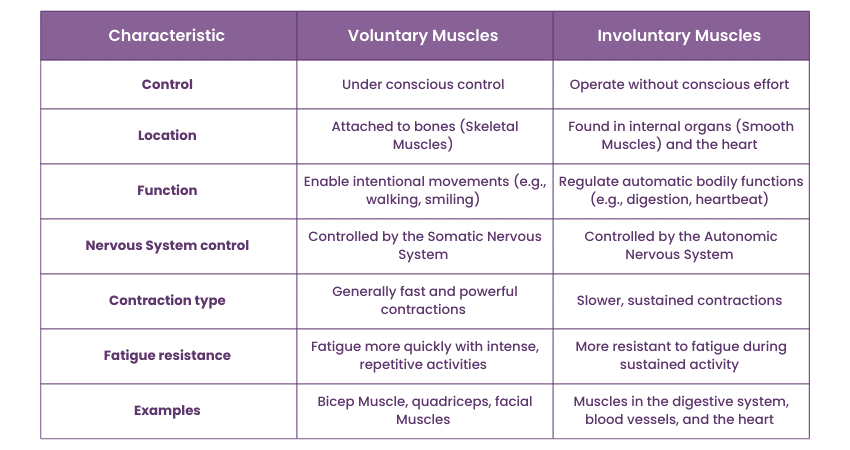 Difference between Voluntary and Involuntary Muscles