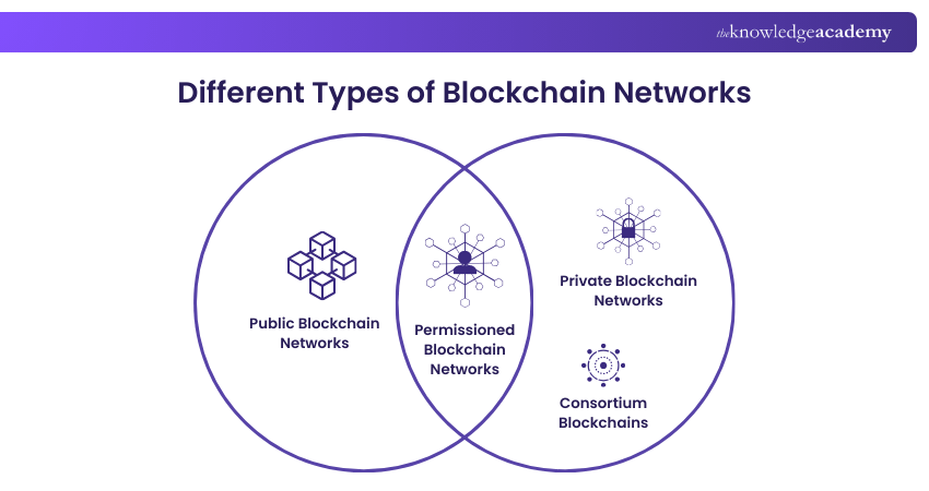 Different Types of Blockchain Networks
