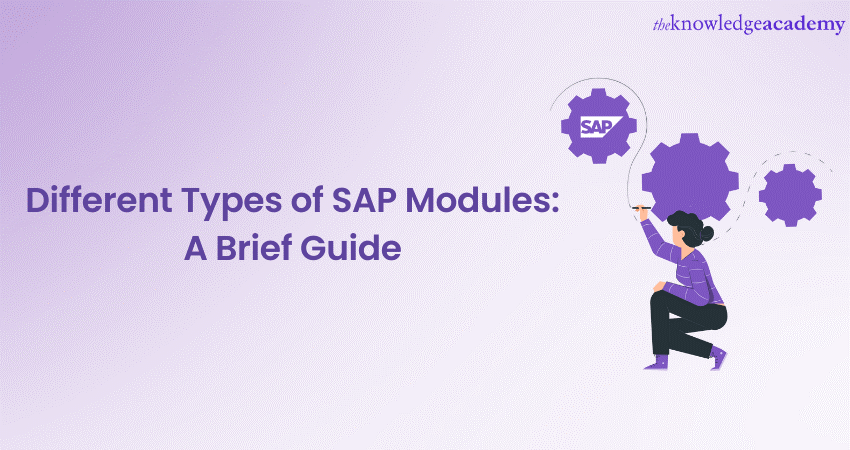 Different Types of SAP Modules: A Brief Guide