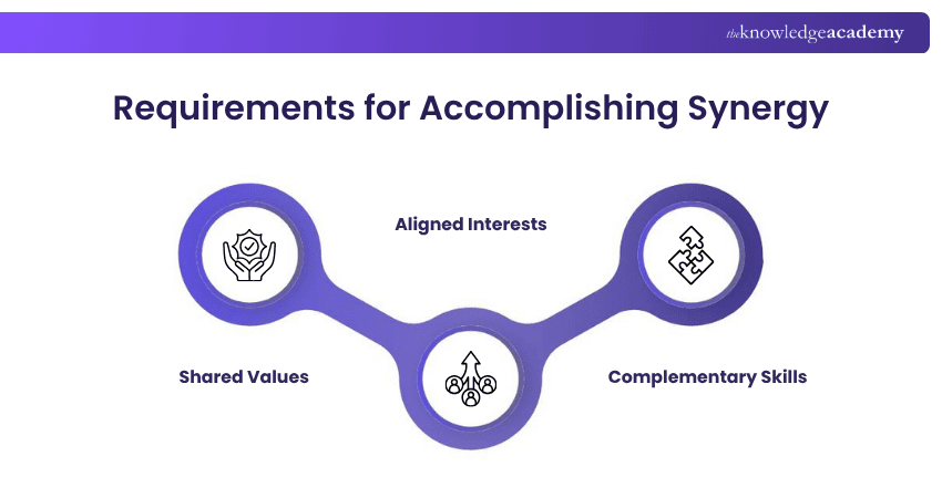 Requirements for Accomplishing Synergy Requirements for Accomplishing Synergy