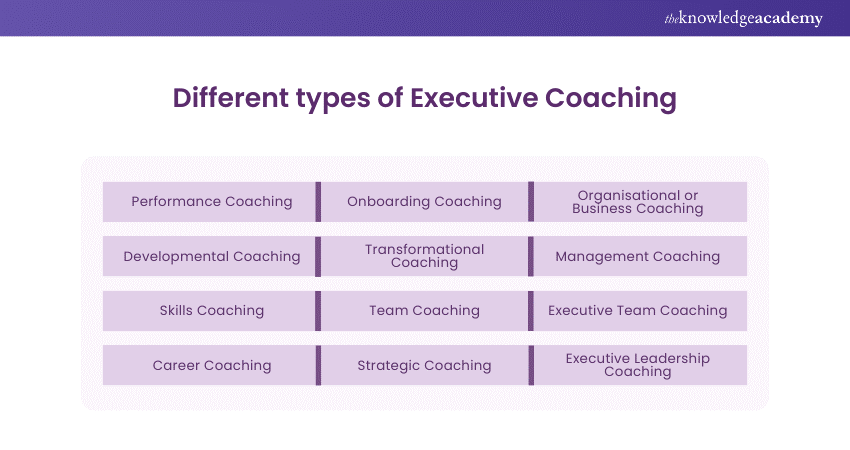 Different types of Executive Coaching 