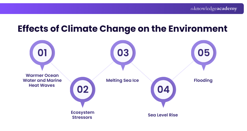 Effects of Climate Change on the Environment 