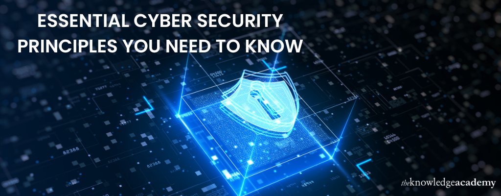 Essential Cyber Security Principles You Need to Know