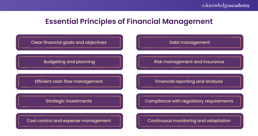 Essential Principles of Financial Management 