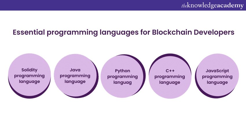 Essential programming languages for Blockchain Developers