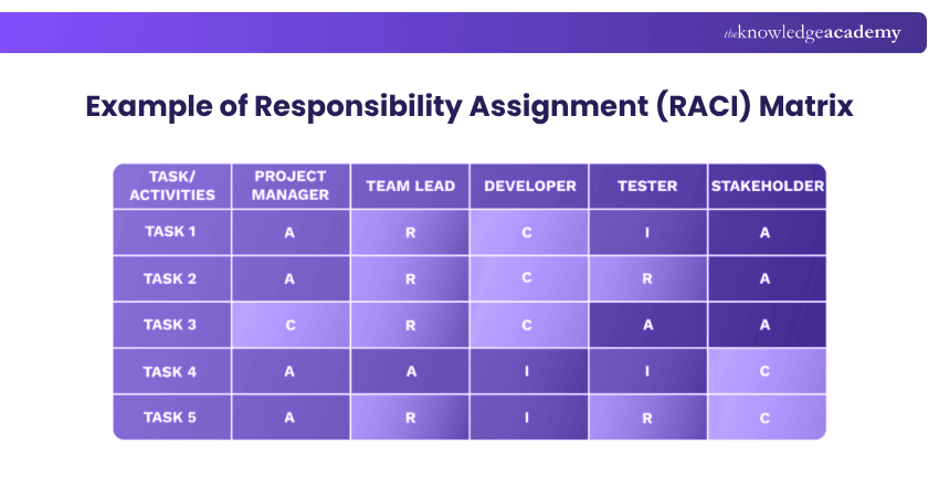 Example of Responsibility Assignment (RACI) Matrix