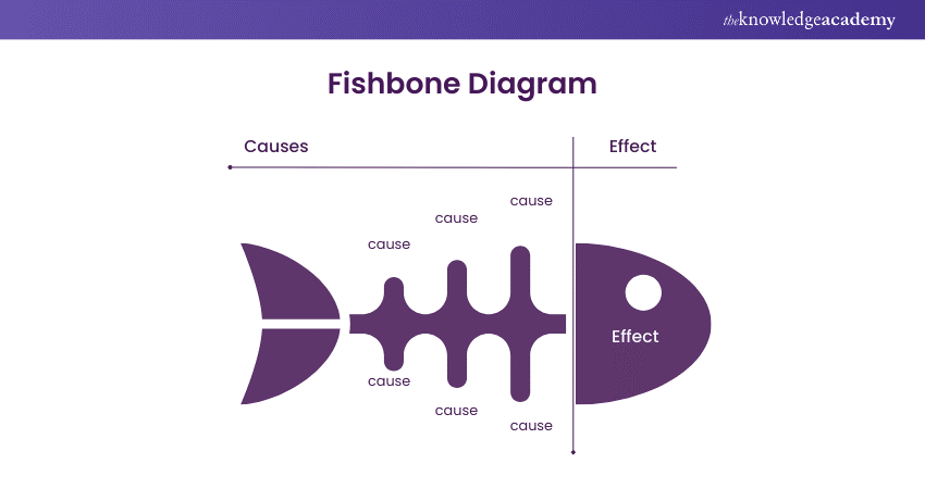Example of a Fishbone Diagram