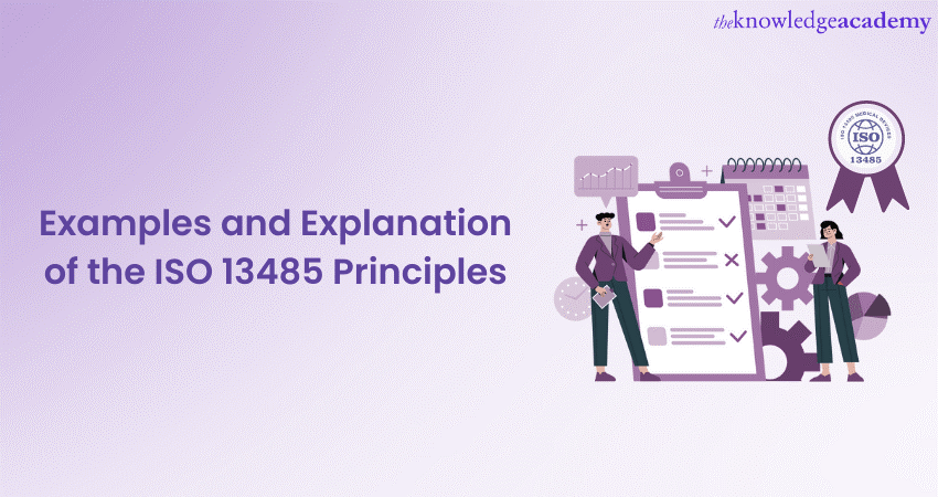 Examples and Explanation of the ISO 13485 Principles