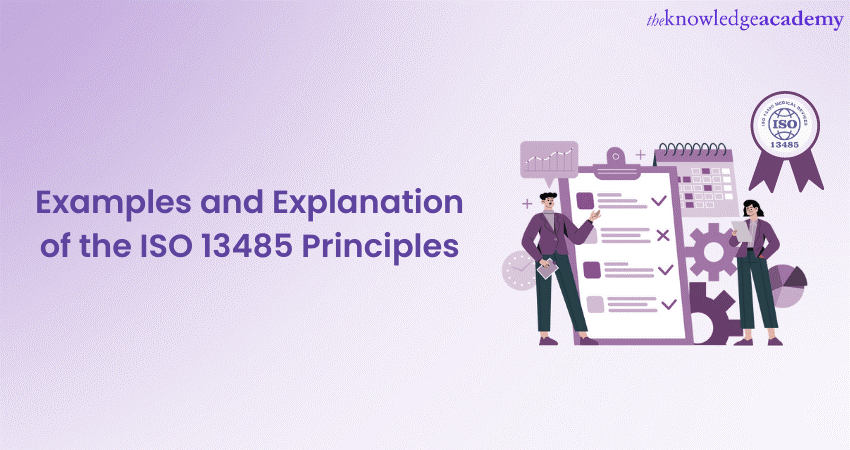 Examples and Explanation of the ISO 13485 Principles  