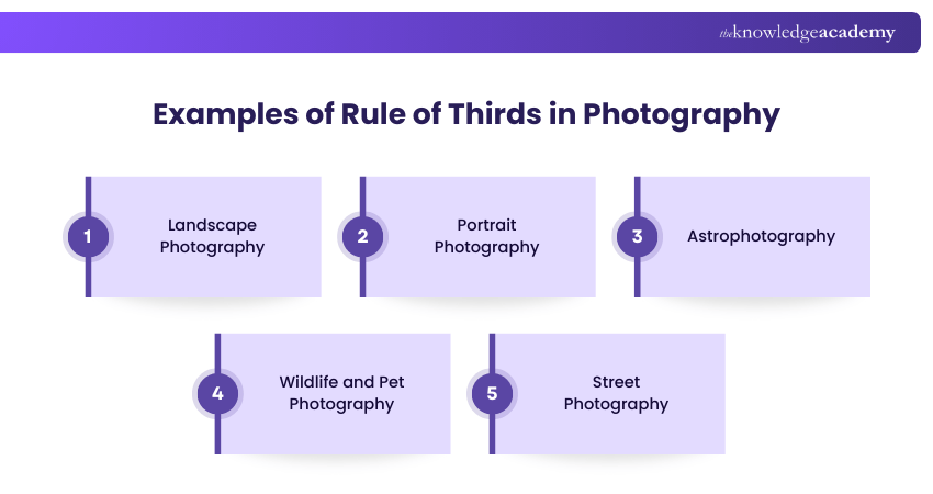 Examples of Rule of Thirds in Photography
