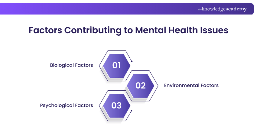 Factors Contributing to Mental Health Issues