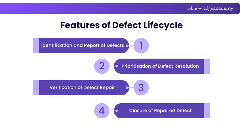 Features of Defect Lifecycle