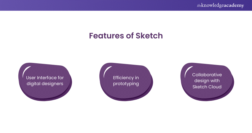 Features of Sketch