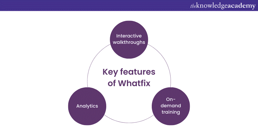  Features of Whatfix
