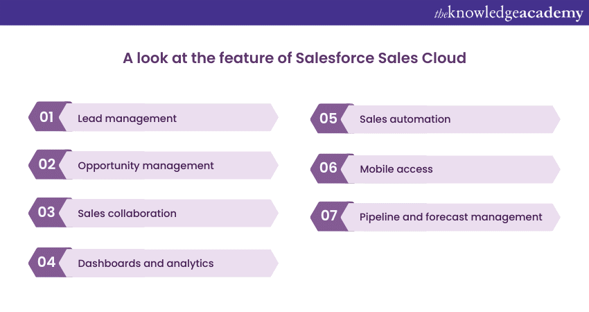 Features of the Salesforce Sales Cloud