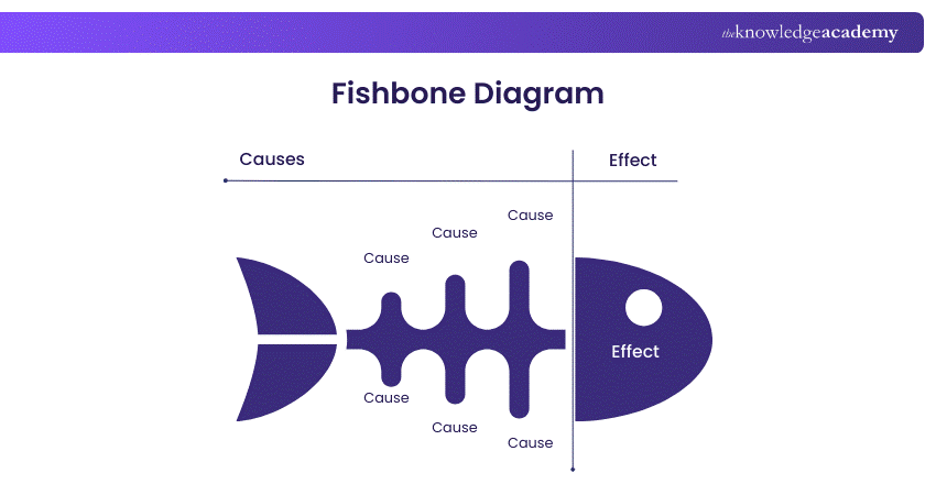 Fishbone Diagram