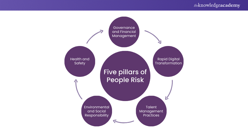 Five pillars of People Risk