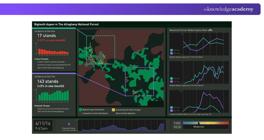 Forest Dashboard