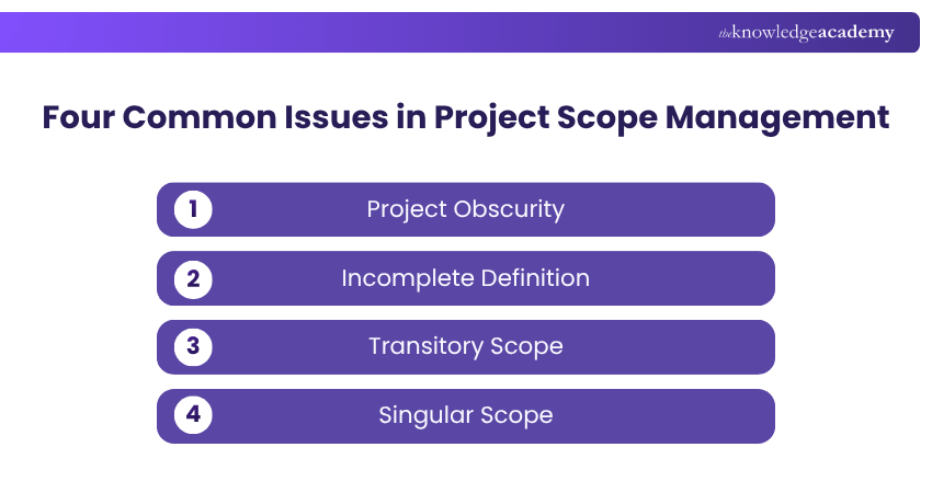 Project Scope Management Common Issues