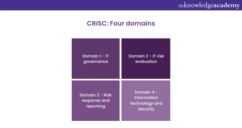 Four domains of CRISC