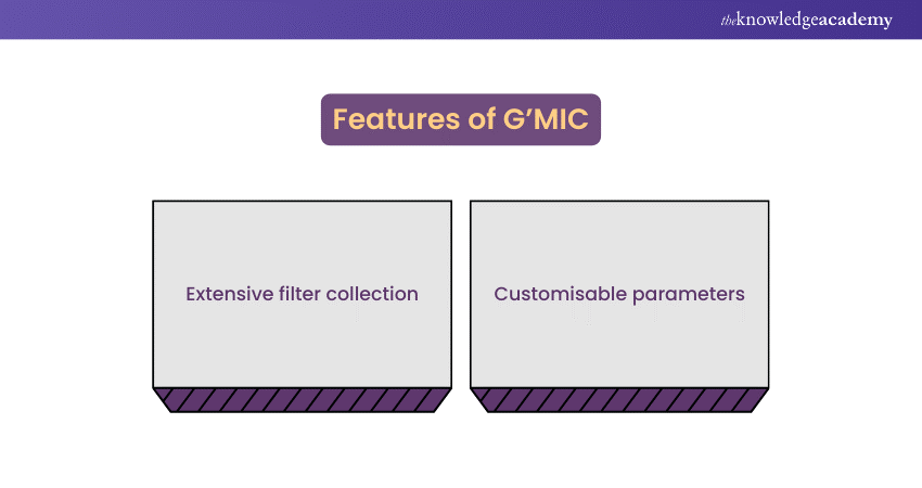 Features of GREYC's