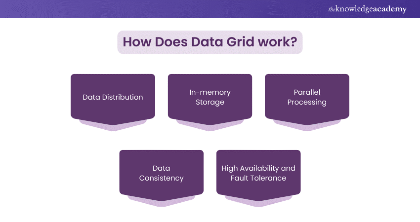 What is a Data Grid? A Complete Overview