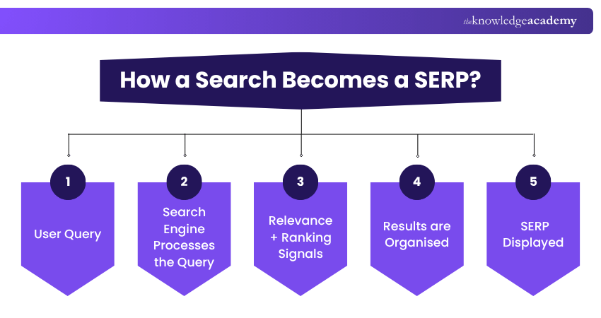 How a Search Becomes a SERP? How a Search Becomes a SERP Explained