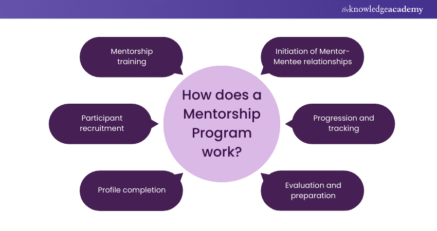 How does a Mentorship Program work