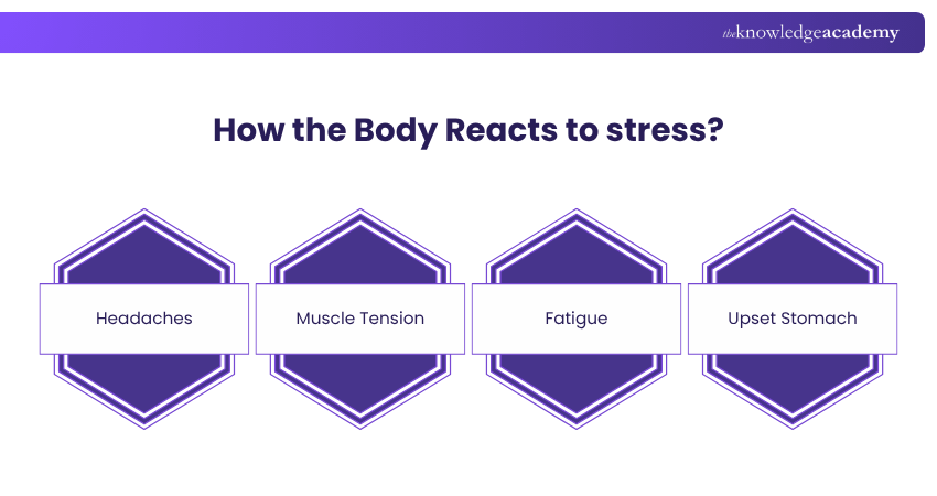How the Body Reacts to stress How the Body Reacts to stress