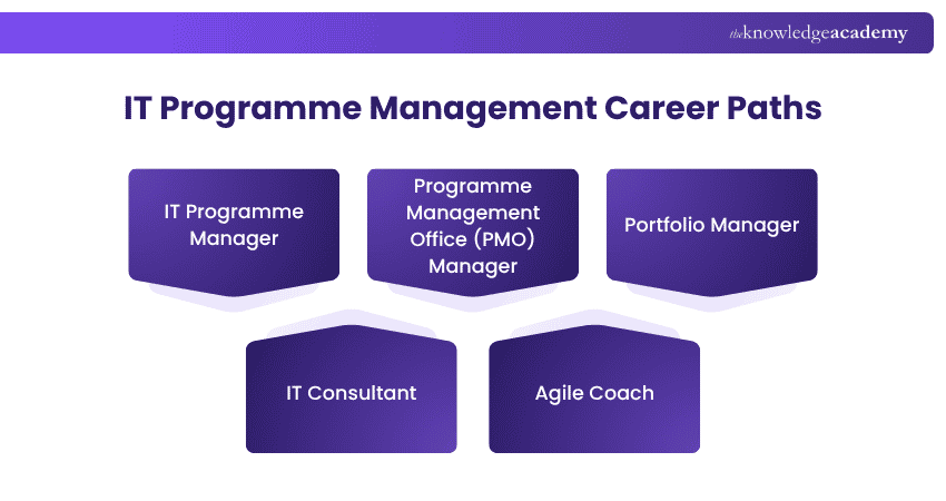 IT Programme Management Career Paths Career Paths in IT Programme Management
