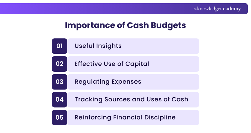 Benefits of Cash Budgets Importance of Cash Budgets