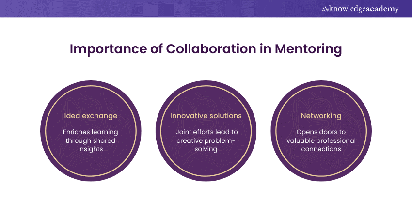Importance of Collaboration in Mentoring