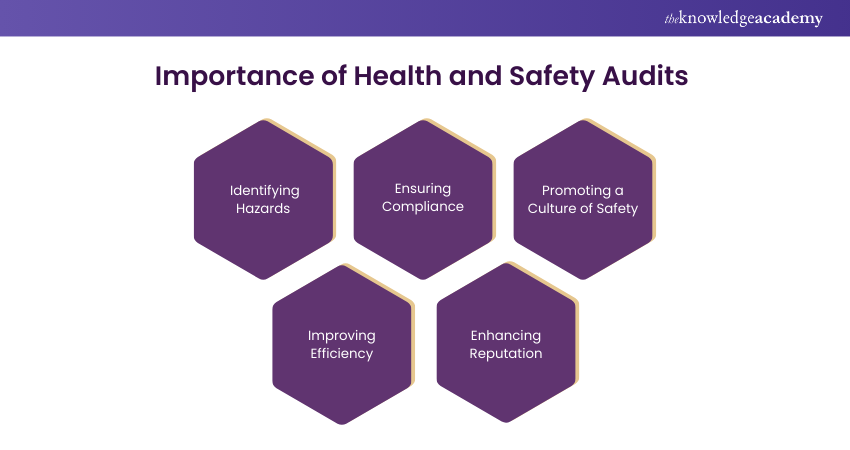 Importance of Health and Safety Audits Importance of Health and Safety Audits
